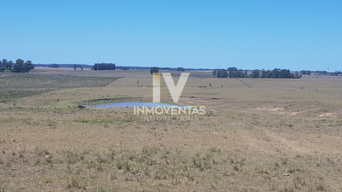 Chacra ID.1807 - Chacra en Zona Rural - Zona Rural