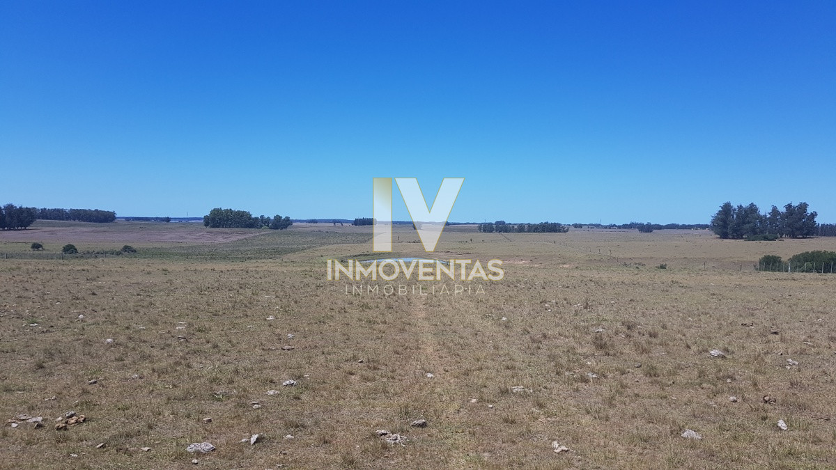 Chacra ID.1807 - Chacra en Zona Rural - Zona Rural