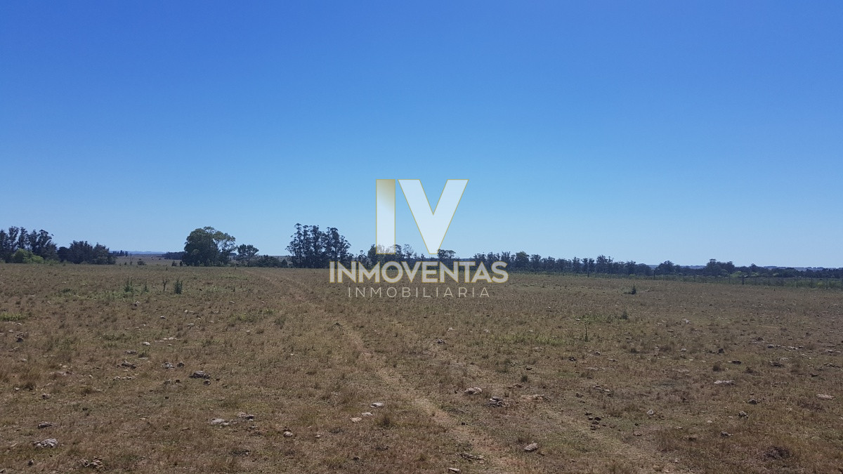 Chacra ID.1807 - Chacra en Zona Rural - Zona Rural