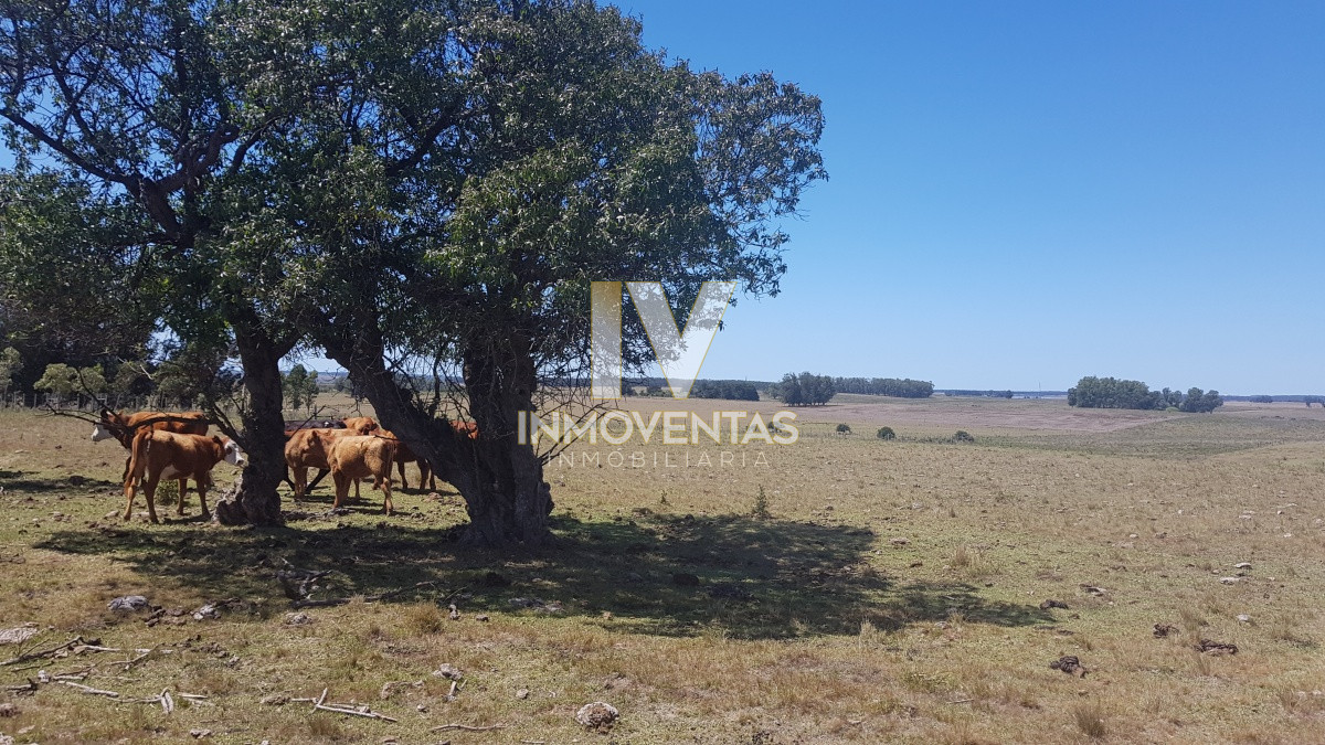 Chacra ID.1807 - Chacra en Zona Rural - Zona Rural