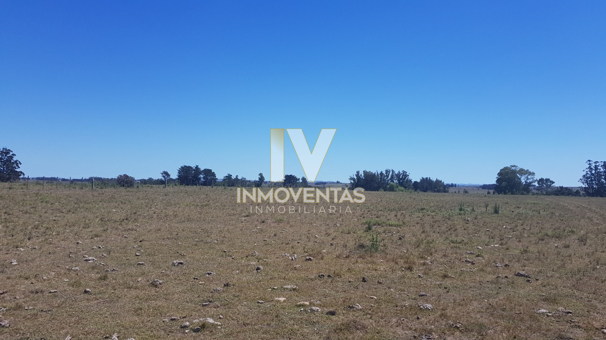 Chacra ID.1807 - Chacra en Zona Rural - Zona Rural