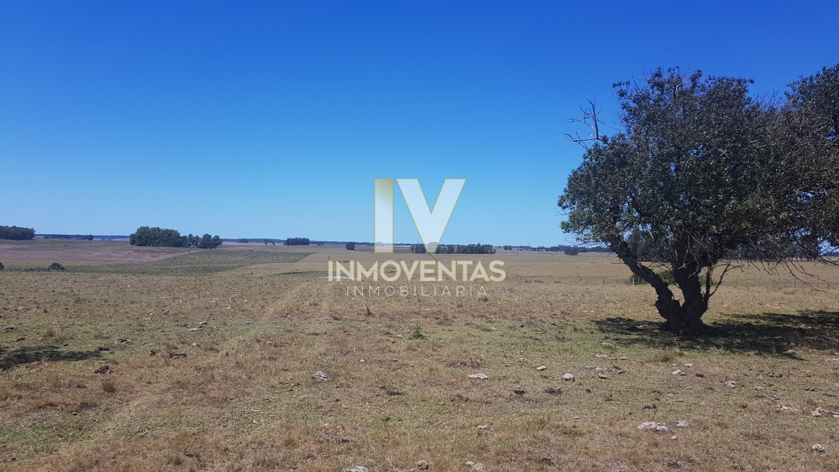 Chacra ID.1807 - Chacra en Zona Rural - Zona Rural