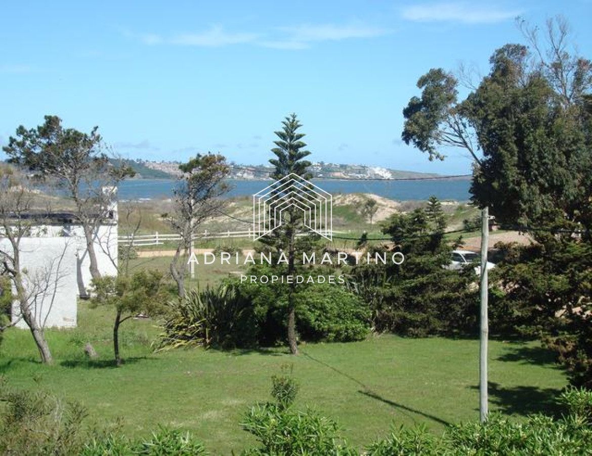 Tio Tom - GoPunta - Portal Inmobiliario de Punta del Este - Maldonado