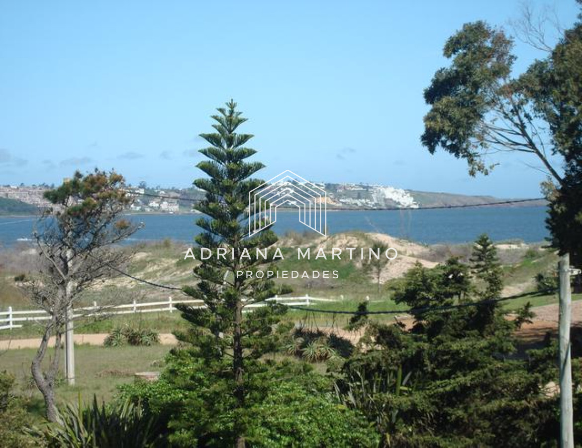 Tio Tom - GoPunta - Portal Inmobiliario de Punta del Este - Maldonado