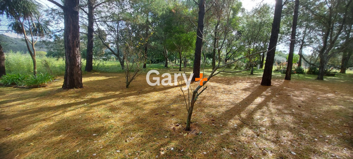 La Pataia - GoPunta - Portal Inmobiliario de Punta del Este - Maldonado