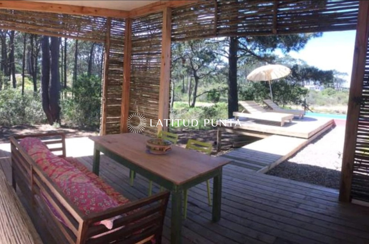 Chihuahua - GoPunta - Portal Inmobiliario de Punta del Este - Maldonado