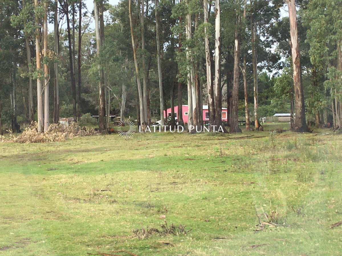 La Pataia - GoPunta - Portal Inmobiliario de Punta del Este - Maldonado