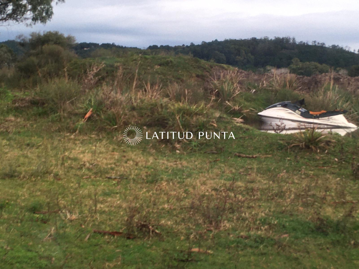 La Pataia - GoPunta - Portal Inmobiliario de Punta del Este - Maldonado