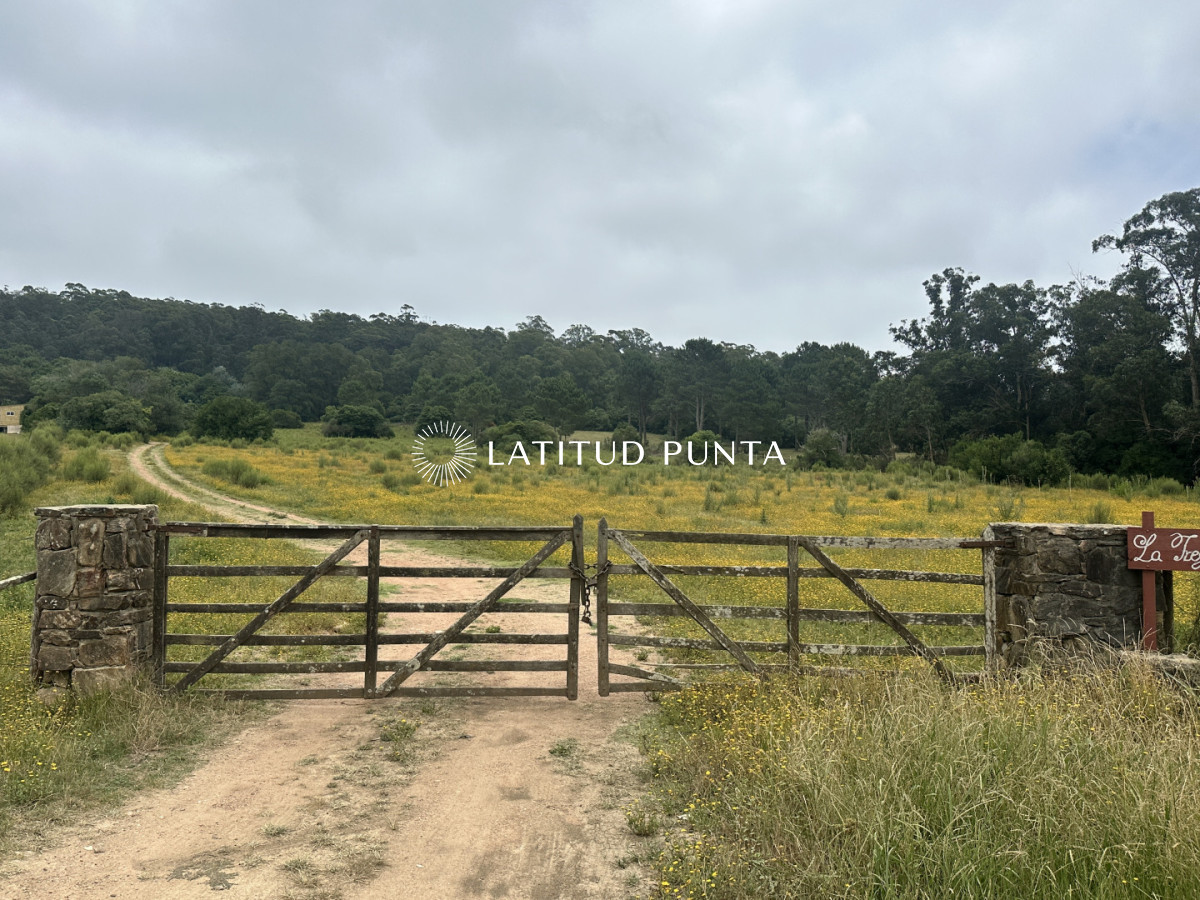 Chacra en zona La Pataia. Punta Ballena  - LAT6963H