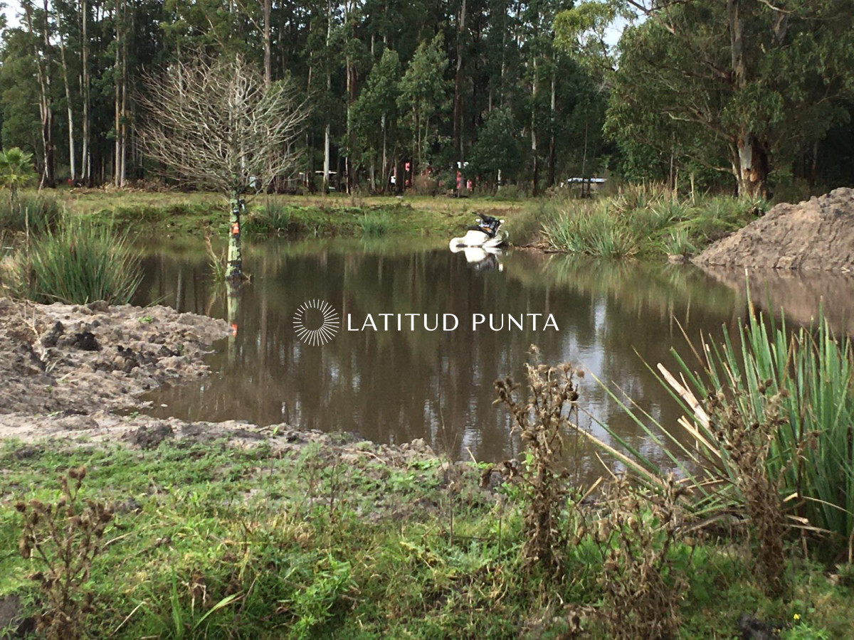 La Pataia - GoPunta - Portal Inmobiliario de Punta del Este - Maldonado