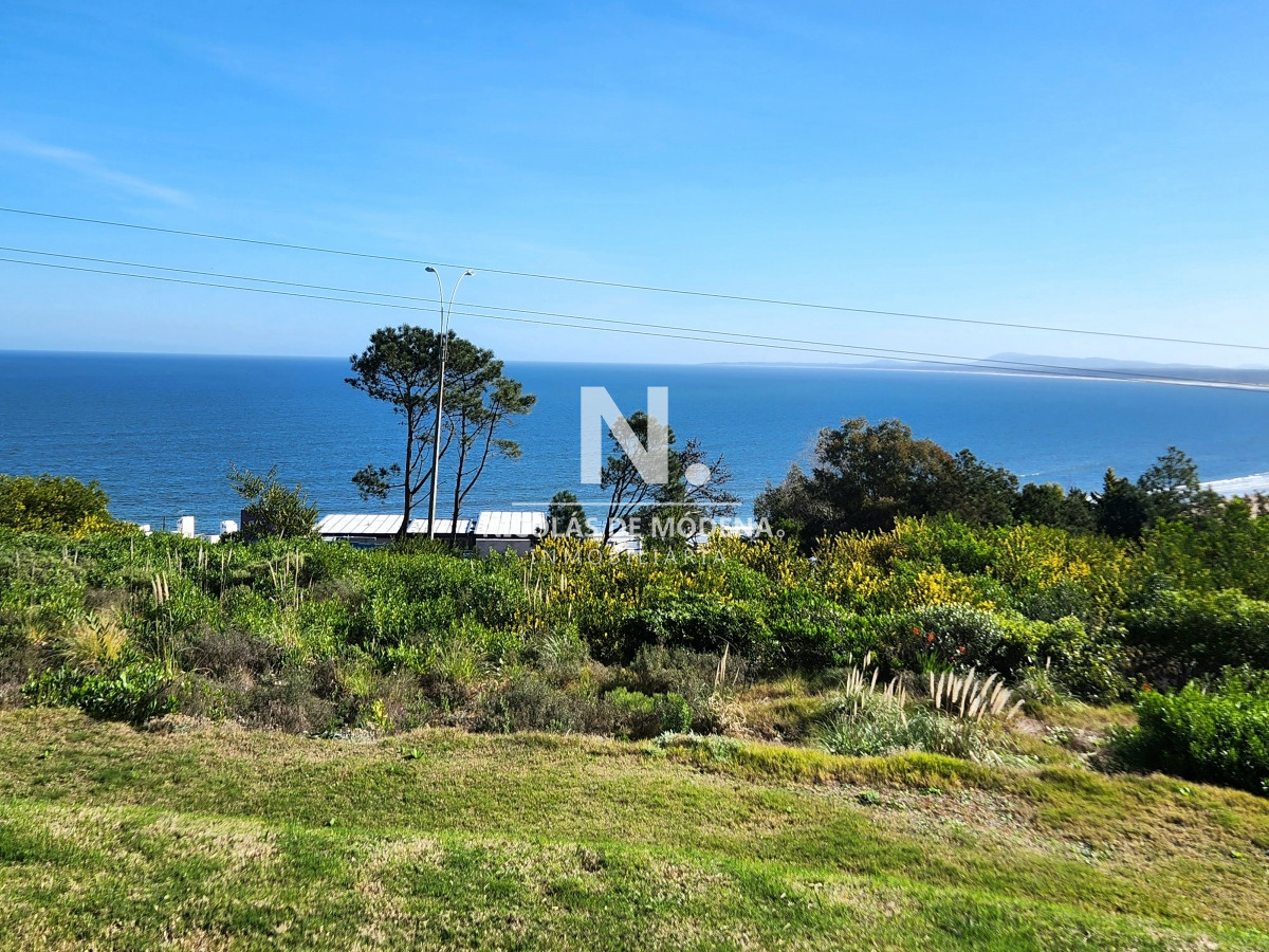 Punta Ballena - GoPunta - Portal Inmobiliario de Punta del Este - Maldonado