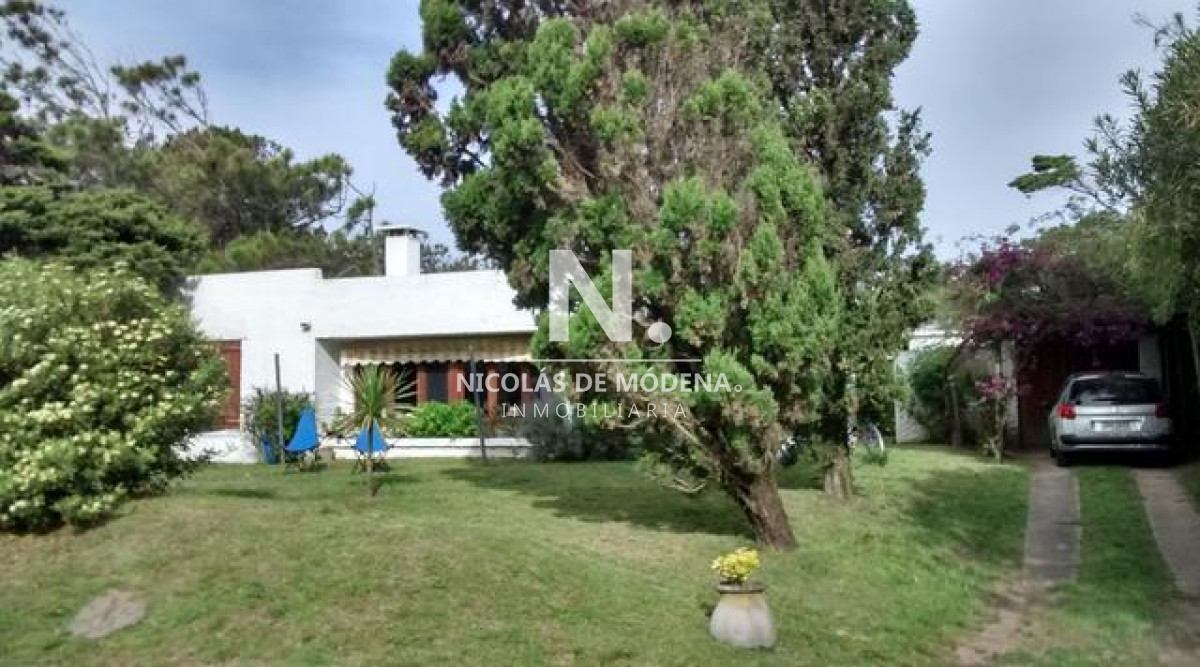 Tio Tom - GoPunta - Portal Inmobiliario de Punta del Este - Maldonado