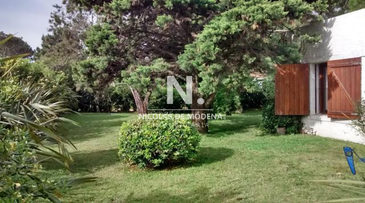 Tio Tom - GoPunta - Portal Inmobiliario de Punta del Este - Maldonado