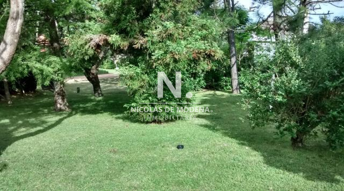 Tio Tom - GoPunta - Portal Inmobiliario de Punta del Este - Maldonado