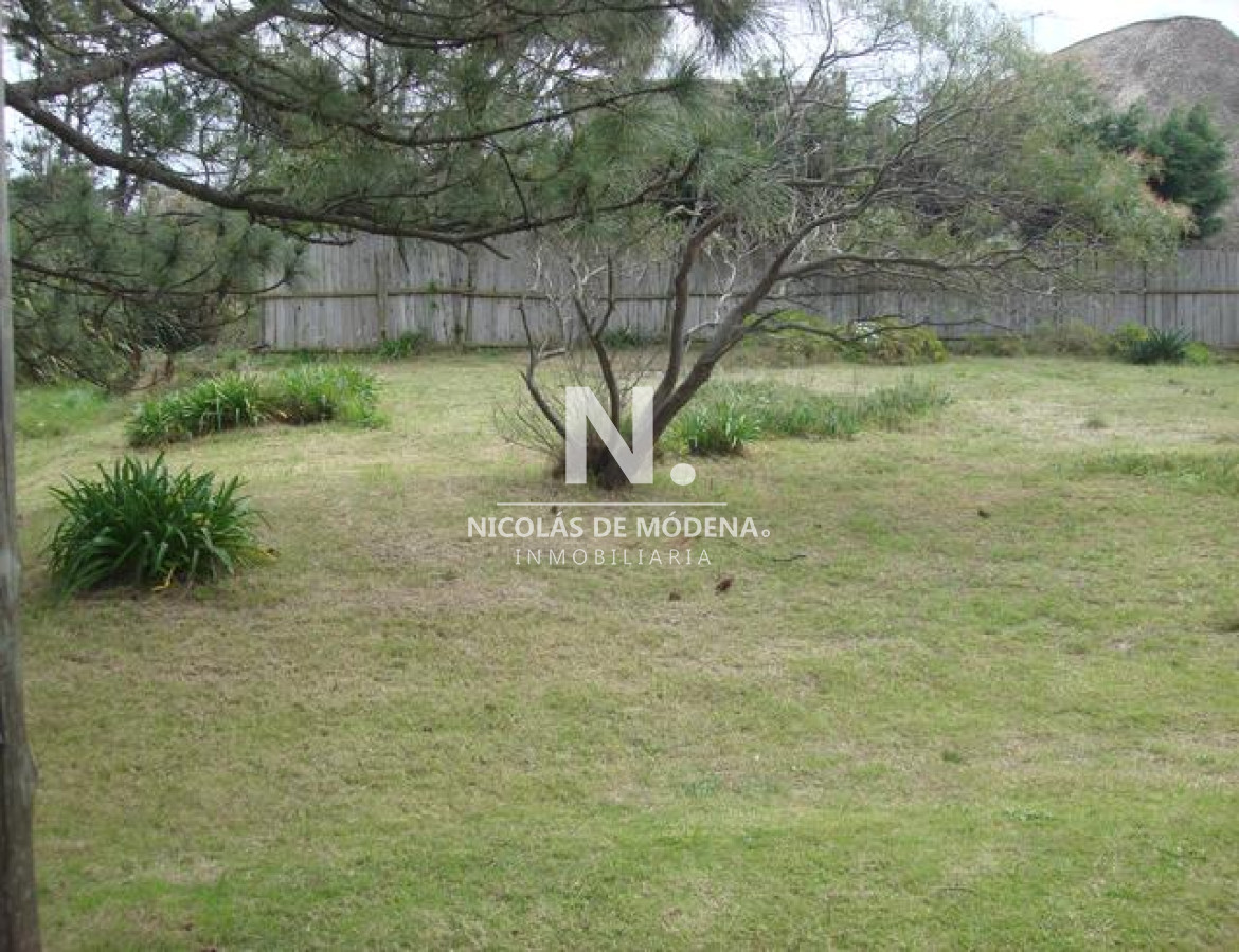 Tio Tom - GoPunta - Portal Inmobiliario de Punta del Este - Maldonado