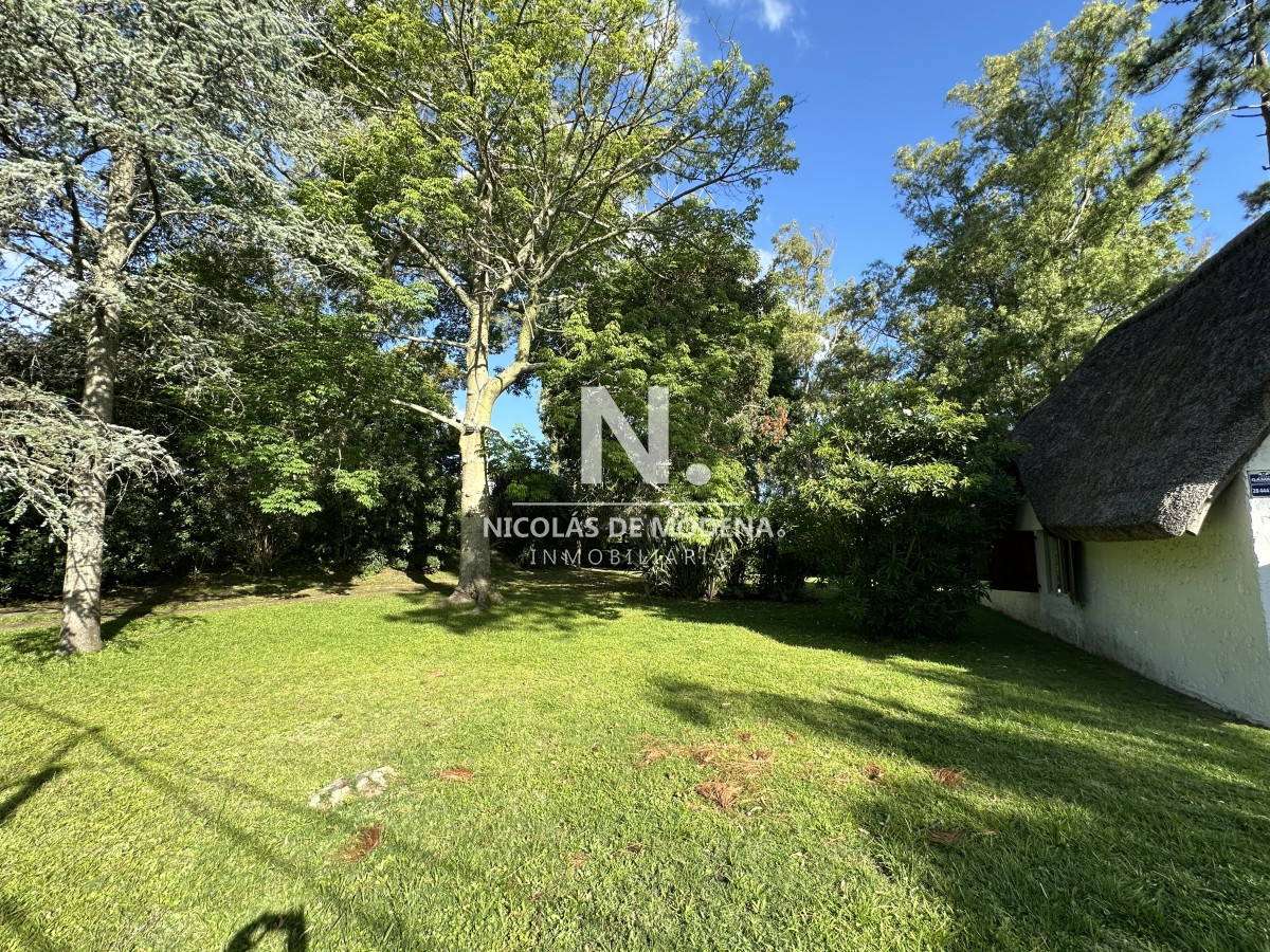 Pinares - GoPunta - Portal Inmobiliario de Punta del Este - Maldonado