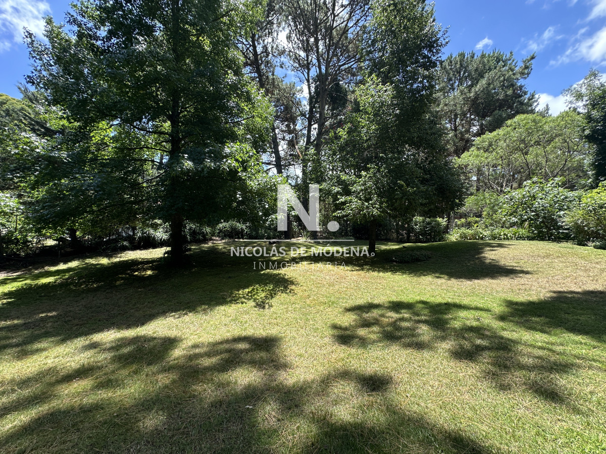 Portezuelo Bosque - GoPunta - Portal Inmobiliario de Punta del Este - Maldonado