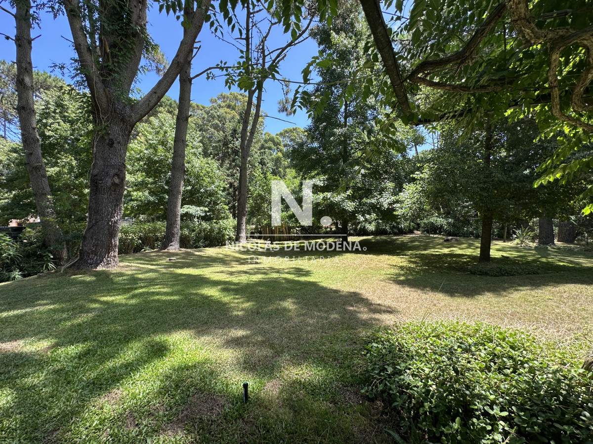 Portezuelo Bosque - GoPunta - Portal Inmobiliario de Punta del Este - Maldonado