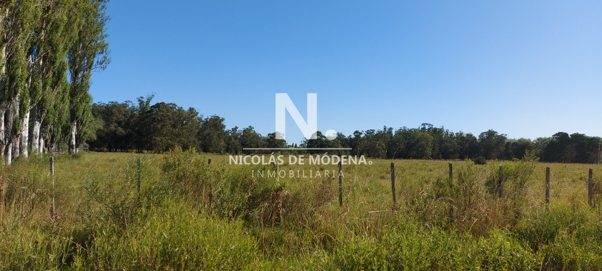 Chacra