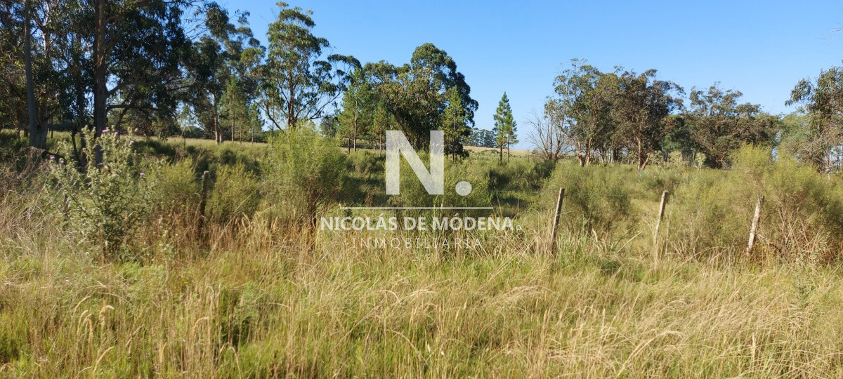 Chacra