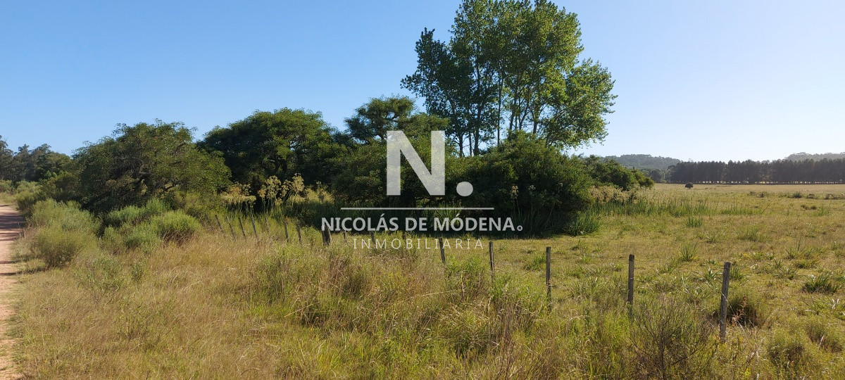 Chacra