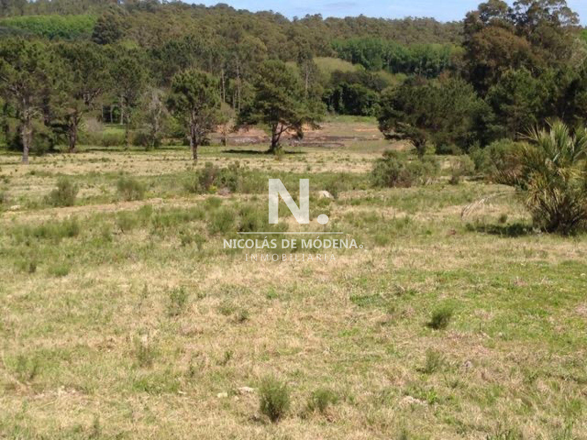 Venta chacra sobre camino La pataia Punta Ballena  - NDM31859H