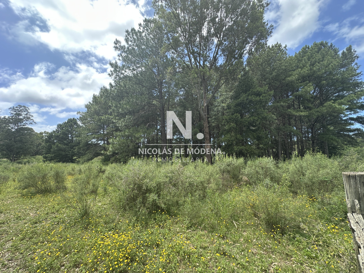 Chacra en venta en zona La Paita. Punta Ballena  - NDM31857H