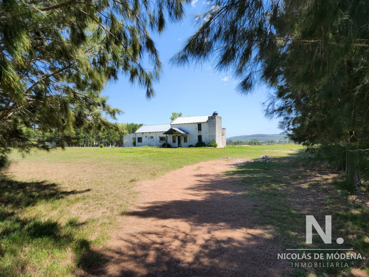 Zona Rural - GoPunta - Portal Inmobiliario de Punta del Este - Maldonado