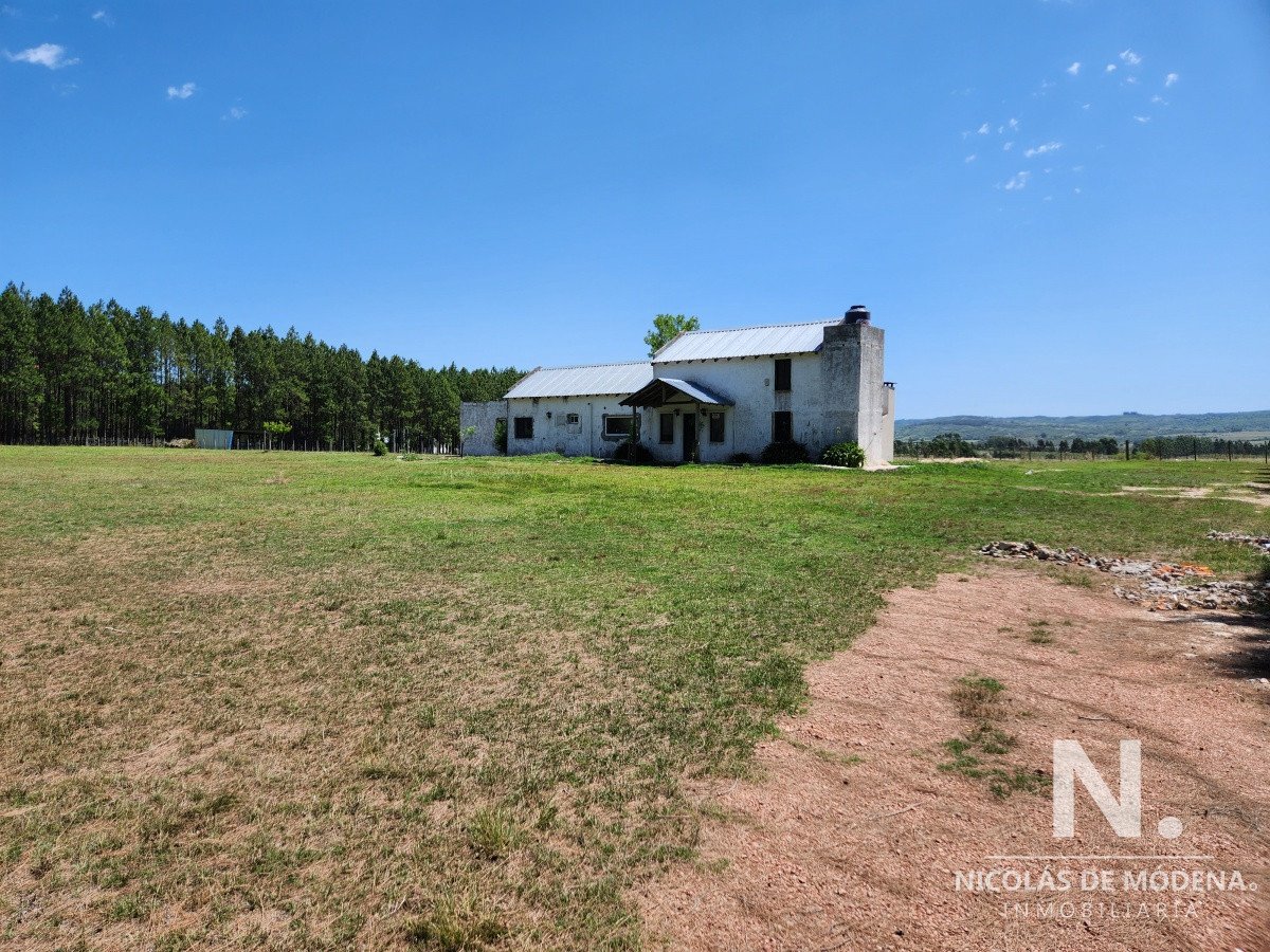 Zona Rural - GoPunta - Portal Inmobiliario de Punta del Este - Maldonado