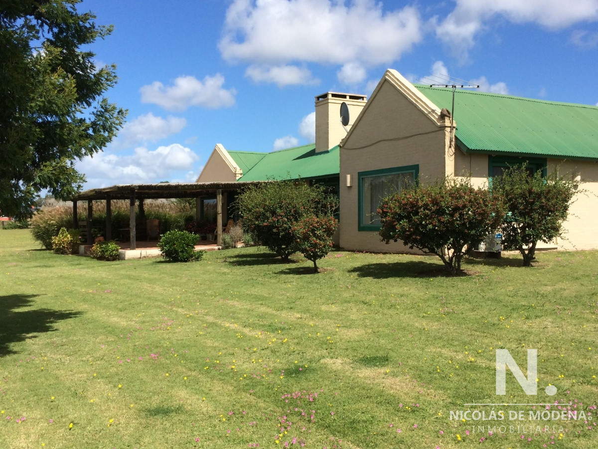 La Pataia - GoPunta - Portal Inmobiliario de Punta del Este - Maldonado