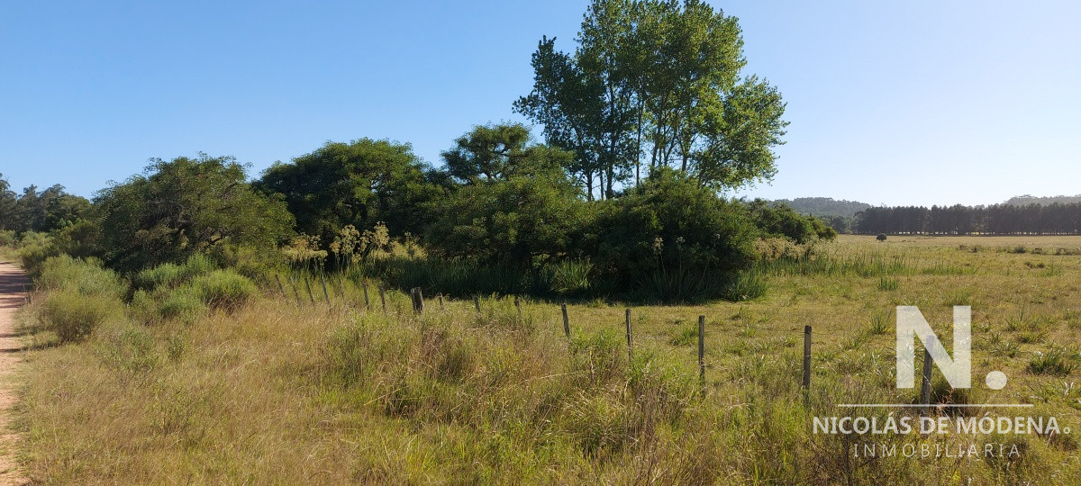 La Pataia - GoPunta - Portal Inmobiliario de Punta del Este - Maldonado