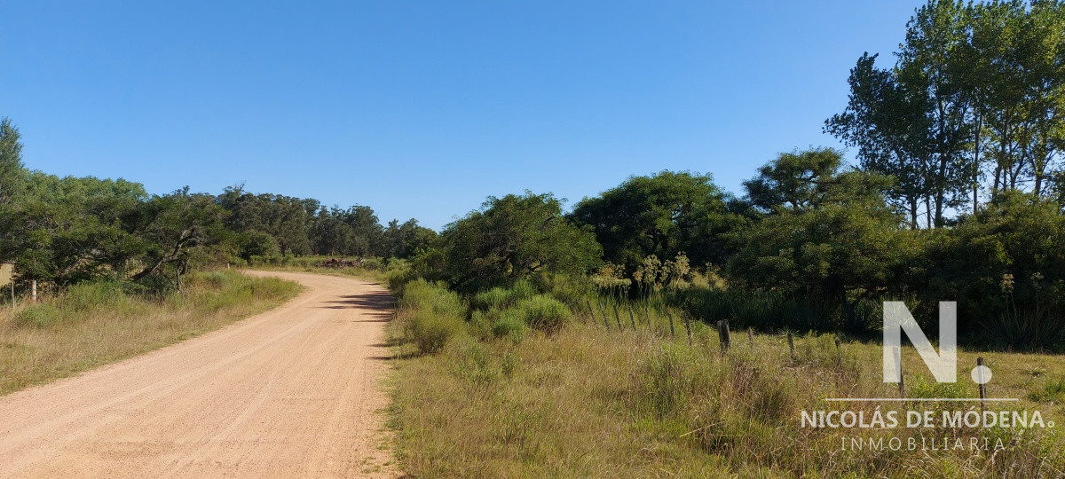 La Pataia - GoPunta - Portal Inmobiliario de Punta del Este - Maldonado