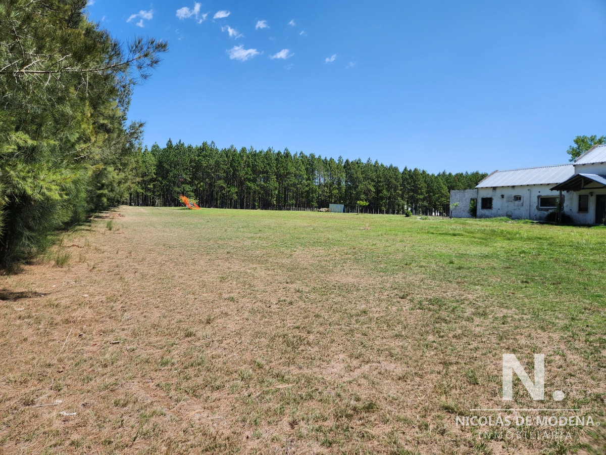 Zona Rural - GoPunta - Portal Inmobiliario de Punta del Este - Maldonado