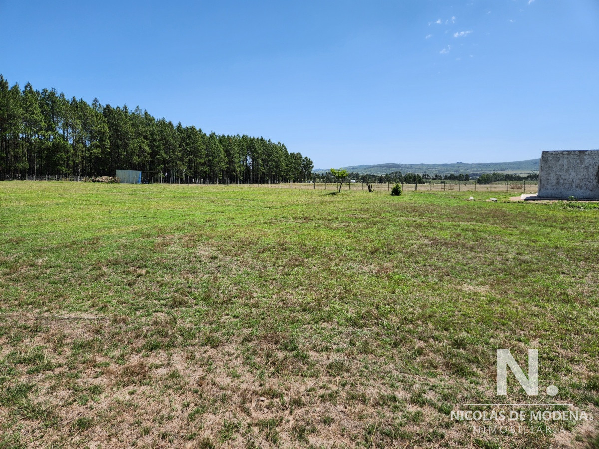 Zona Rural - GoPunta - Portal Inmobiliario de Punta del Este - Maldonado