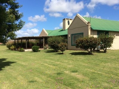 Chacra en venta en  La Pataia - Punta Ballena