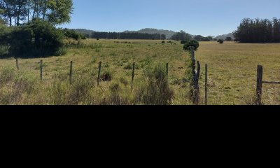 Venta fracción de campo en zona La Pataia