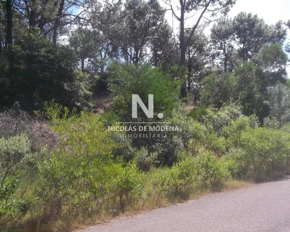Club del Lago - GoPunta - Portal Inmobiliario de Punta del Este - Maldonado