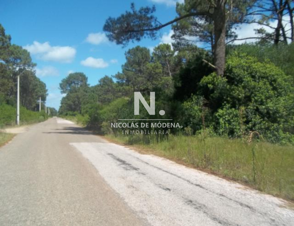 Club del Lago - GoPunta - Portal Inmobiliario de Punta del Este - Maldonado