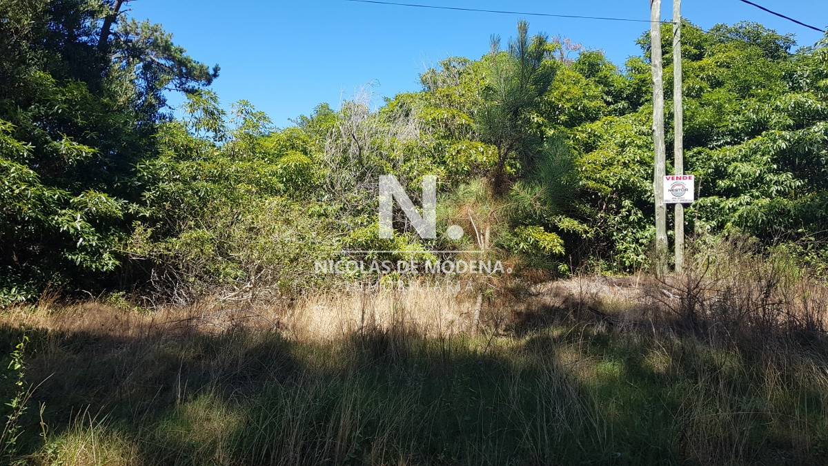 Portezuelo Bosque - GoPunta - Portal Inmobiliario de Punta del Este - Maldonado