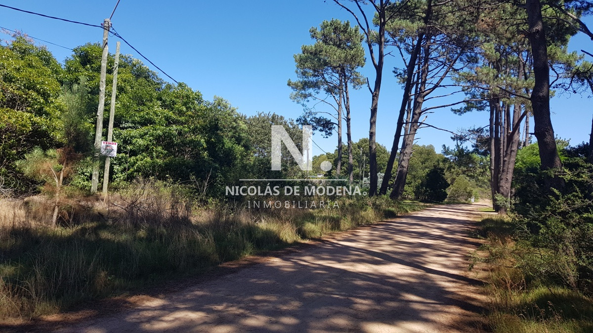 Portezuelo Bosque - GoPunta - Portal Inmobiliario de Punta del Este - Maldonado