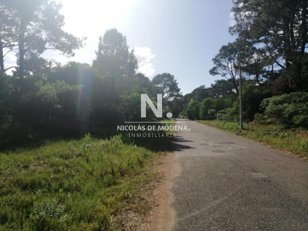 Club del Lago - GoPunta - Portal Inmobiliario de Punta del Este - Maldonado
