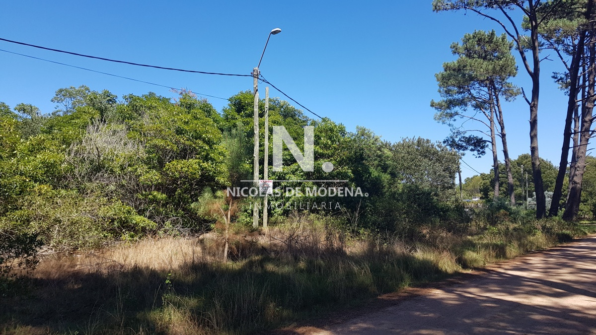 Portezuelo Bosque - GoPunta - Portal Inmobiliario de Punta del Este - Maldonado