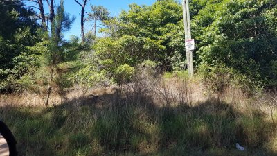 Terreno en Punta Ballena, Portezuelo Bosque