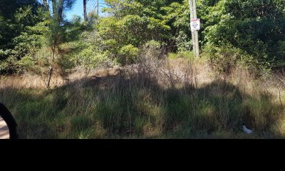 Terreno en Punta Ballena, Portezuelo Bosque