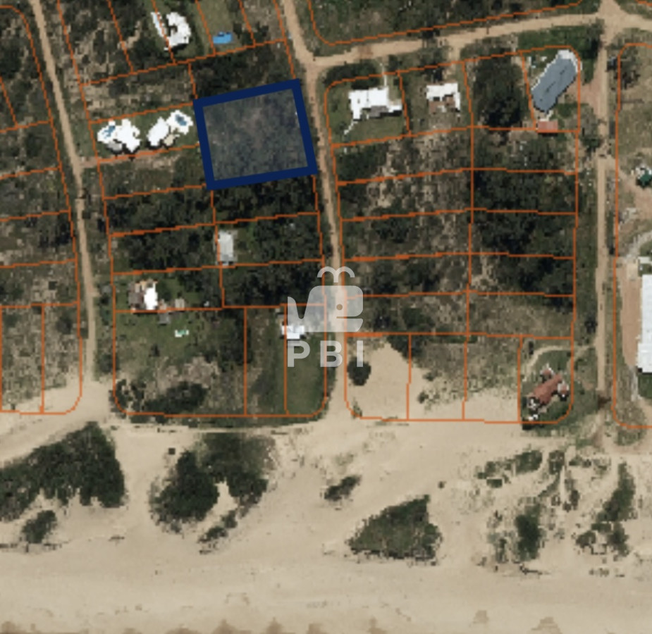 Chihuahua - GoPunta - Portal Inmobiliario de Punta del Este - Maldonado