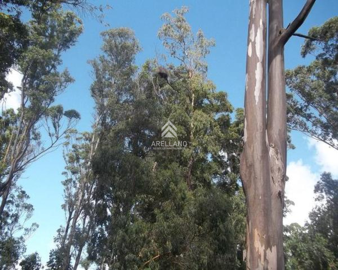 Terreno ID.6983 - Venta terreno 2500m Solanas 