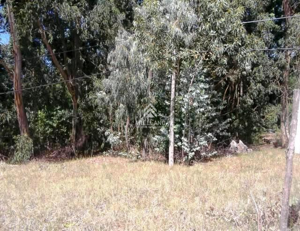 Terreno ID.6983 - Venta terreno 2500m Solanas 