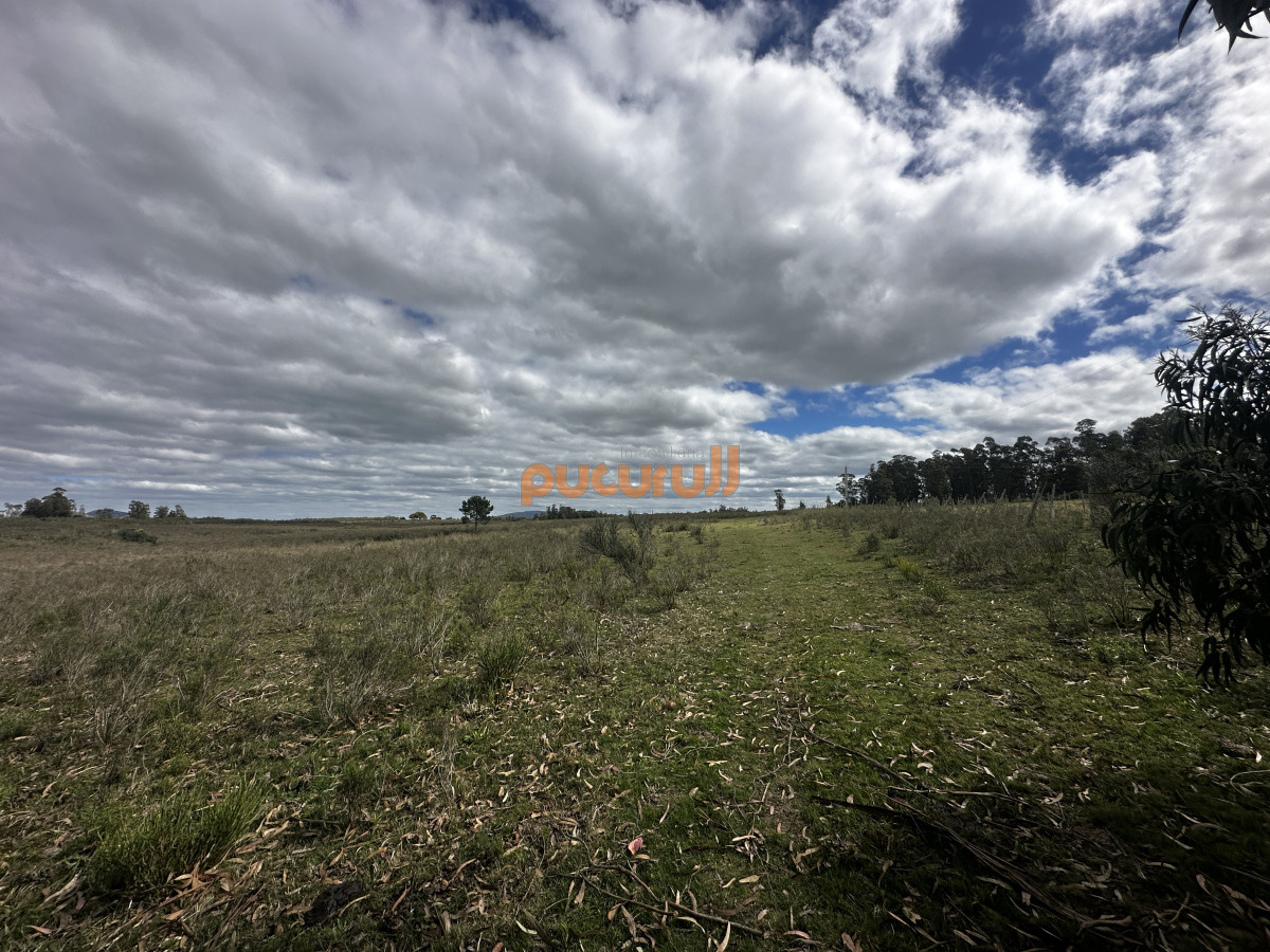 Zona Rural - GoPunta - Portal Inmobiliario de Punta del Este - Maldonado