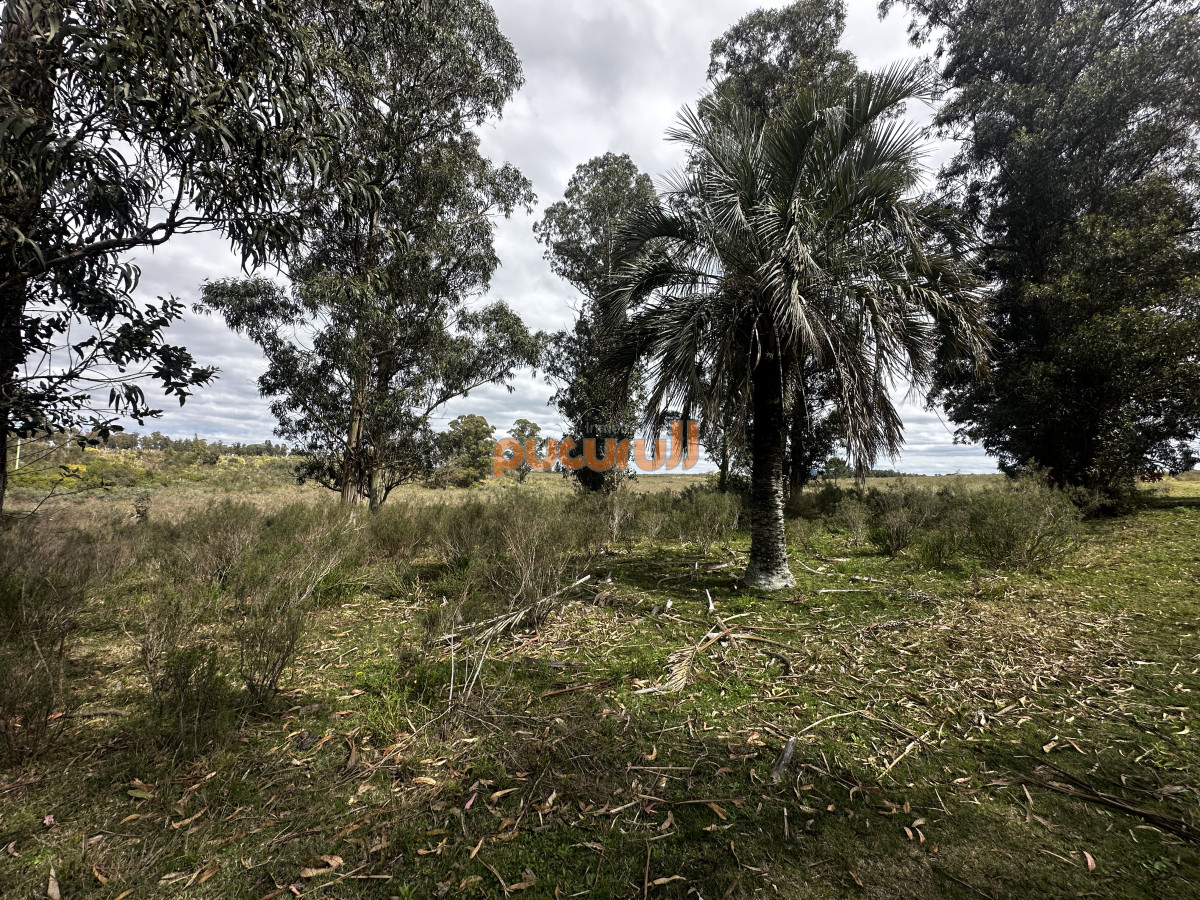 Zona Rural - GoPunta - Portal Inmobiliario de Punta del Este - Maldonado