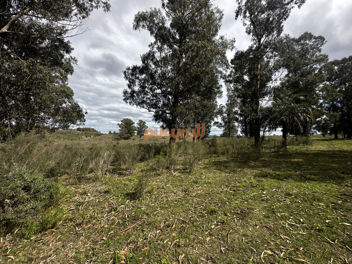 Zona Rural - GoPunta - Portal Inmobiliario de Punta del Este - Maldonado